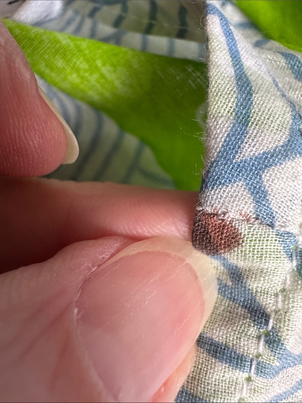 Gretchen Scott Designs Lime Green & White Elephant Print Mini Dress XS - Picture 8 of 8